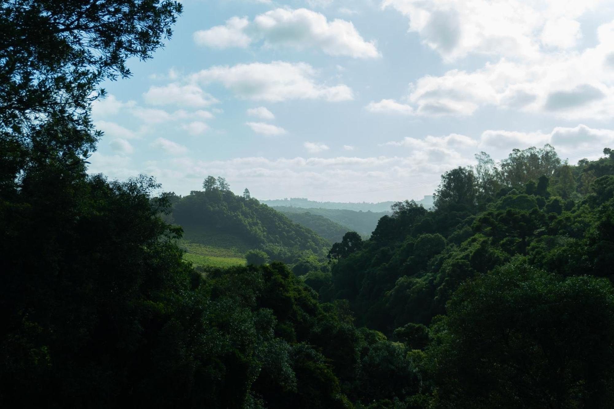 Chale Seiva Da Terra Villa Pinto Bandeira Kültér fotó
