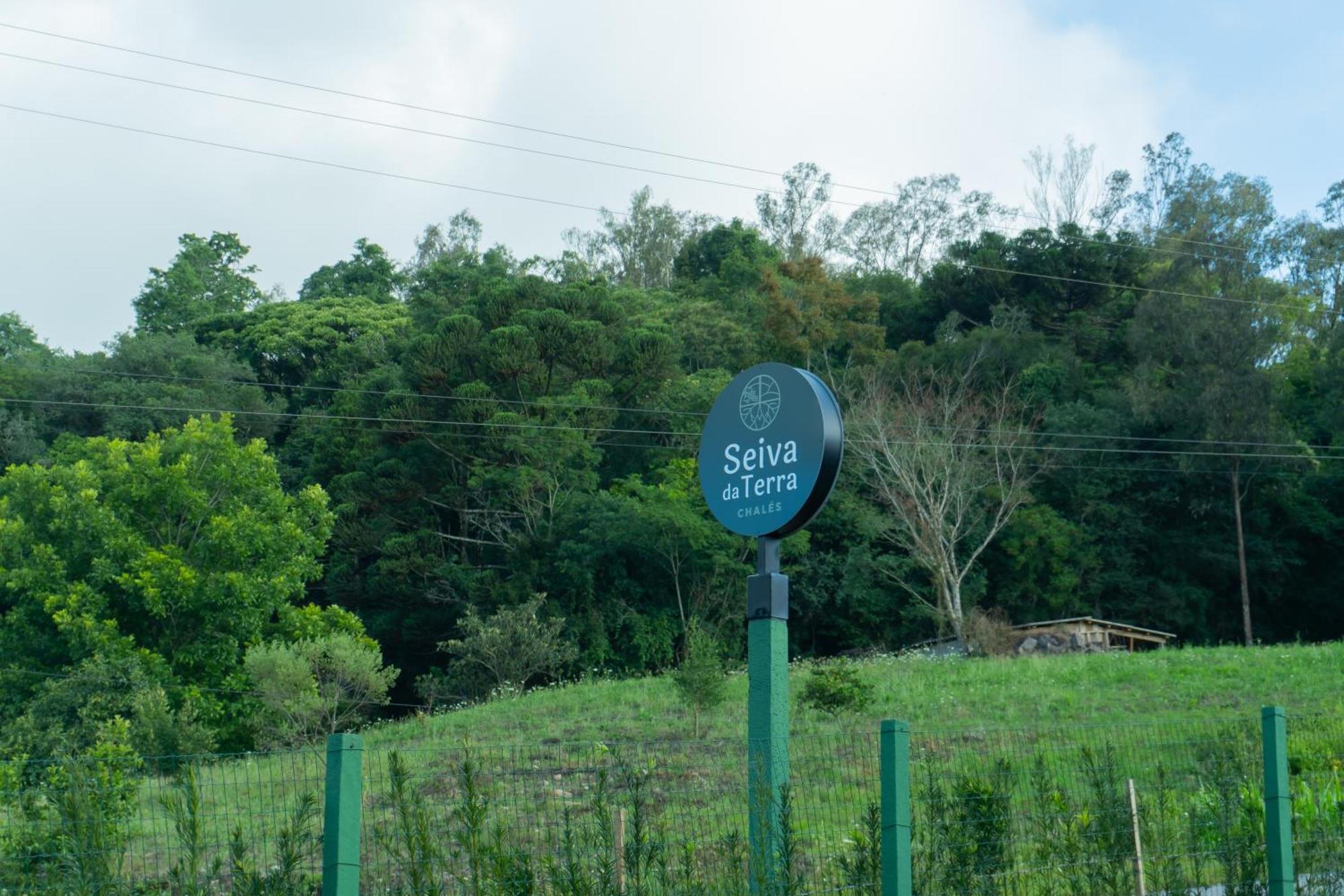 Chale Seiva Da Terra Villa Pinto Bandeira Kültér fotó